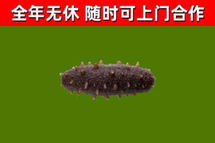 云溪区烟酒回收干海参.jpg